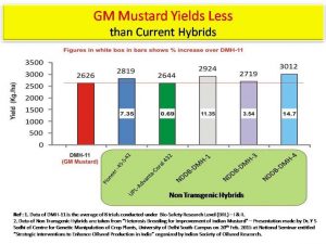gm-mustard-data