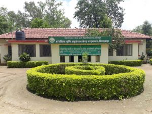 जवाहरलाल नेहरू कृषि विश्वविद्यालय आंचलिक कृषि अनुसंधान केंद्र,चंदनगांव, छिंदवाड़ा (मध्यप्रदेश)